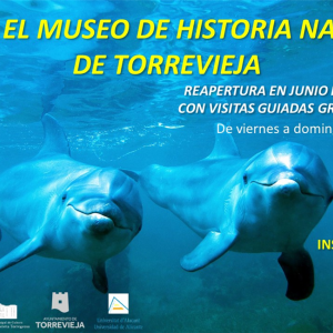 Visita al Museo de Historia Natural de Torrevieja