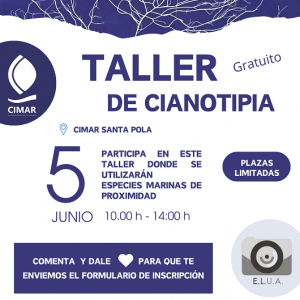 Taller Cianotípia