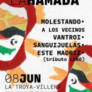 IV Festival de música L'Hamada; Molestant als veïns, Vantroi, Sangoneres, Aquest Madriz (tribute TRONC)