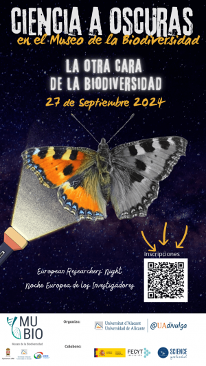 Nit europea dels investigadors